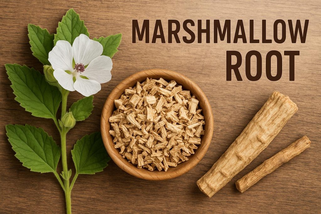 Marshmallow Root