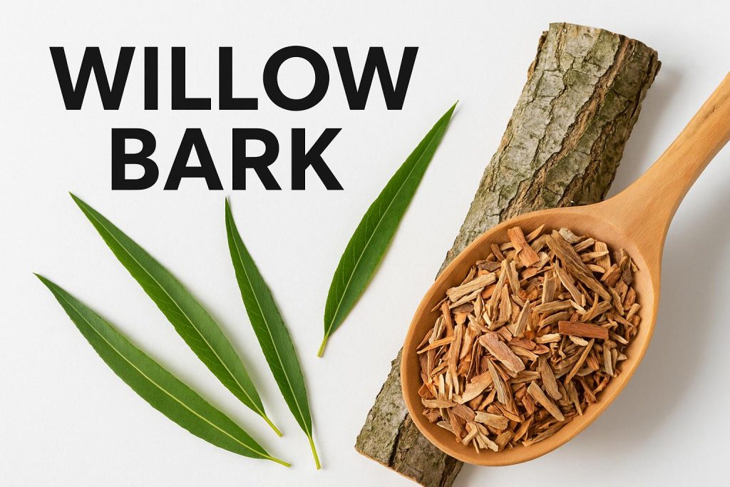 Willow Bark